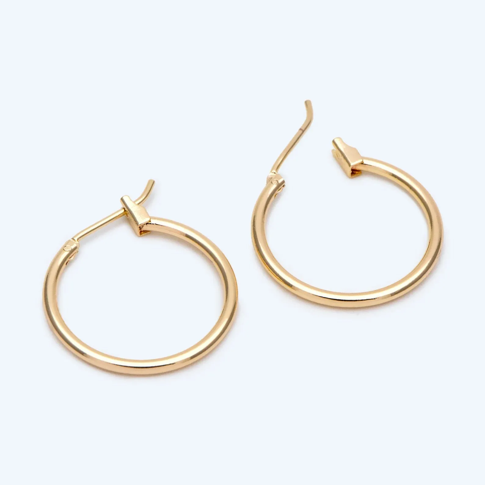 Charm Earrings