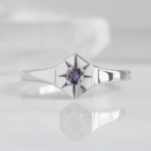 Custom Amethyst Birthstone Signet Ring | 10K White Gold