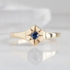 Custom Blue Sapphire Birthstone Signet Ring | 10K Yellow Gold
