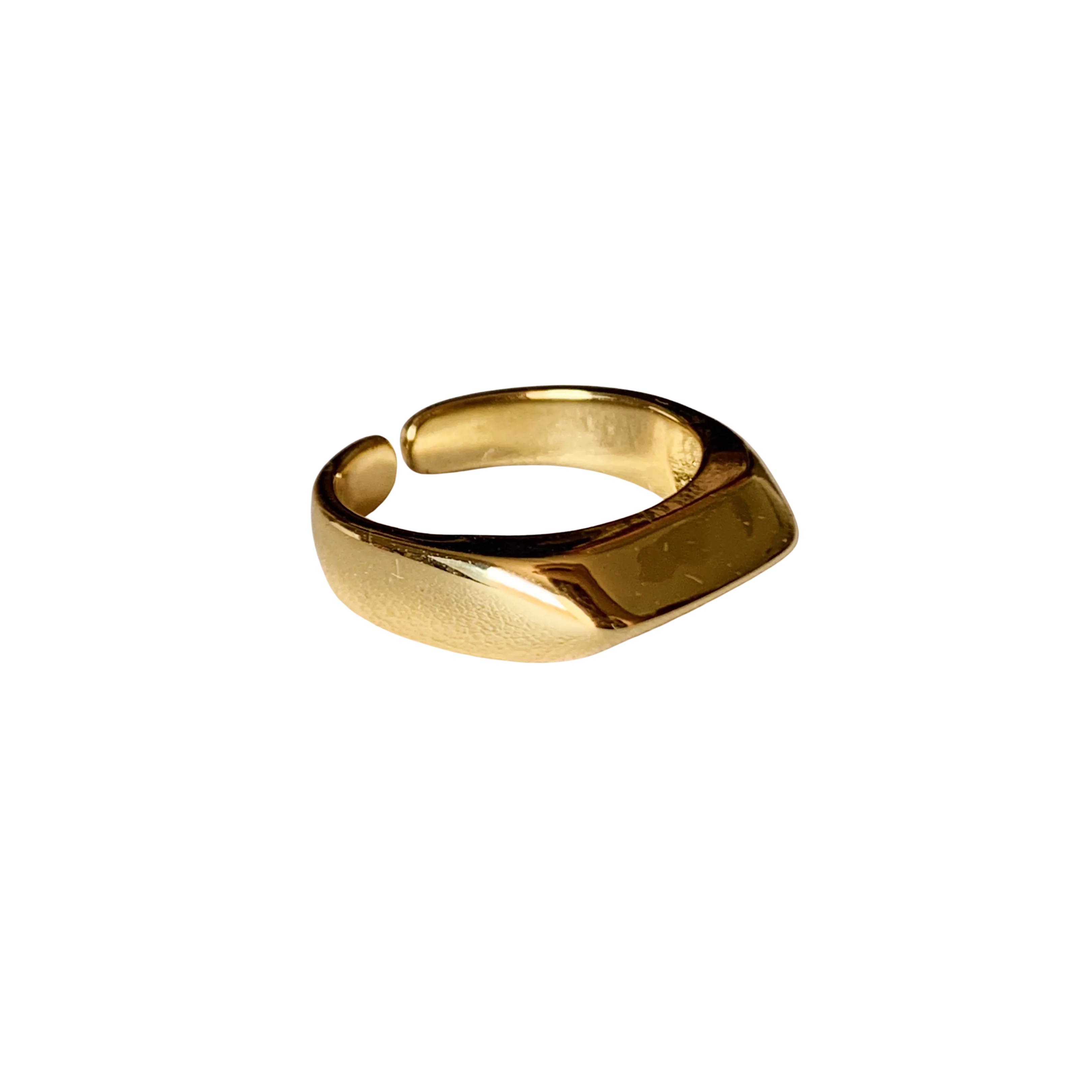 FEMI signet ring