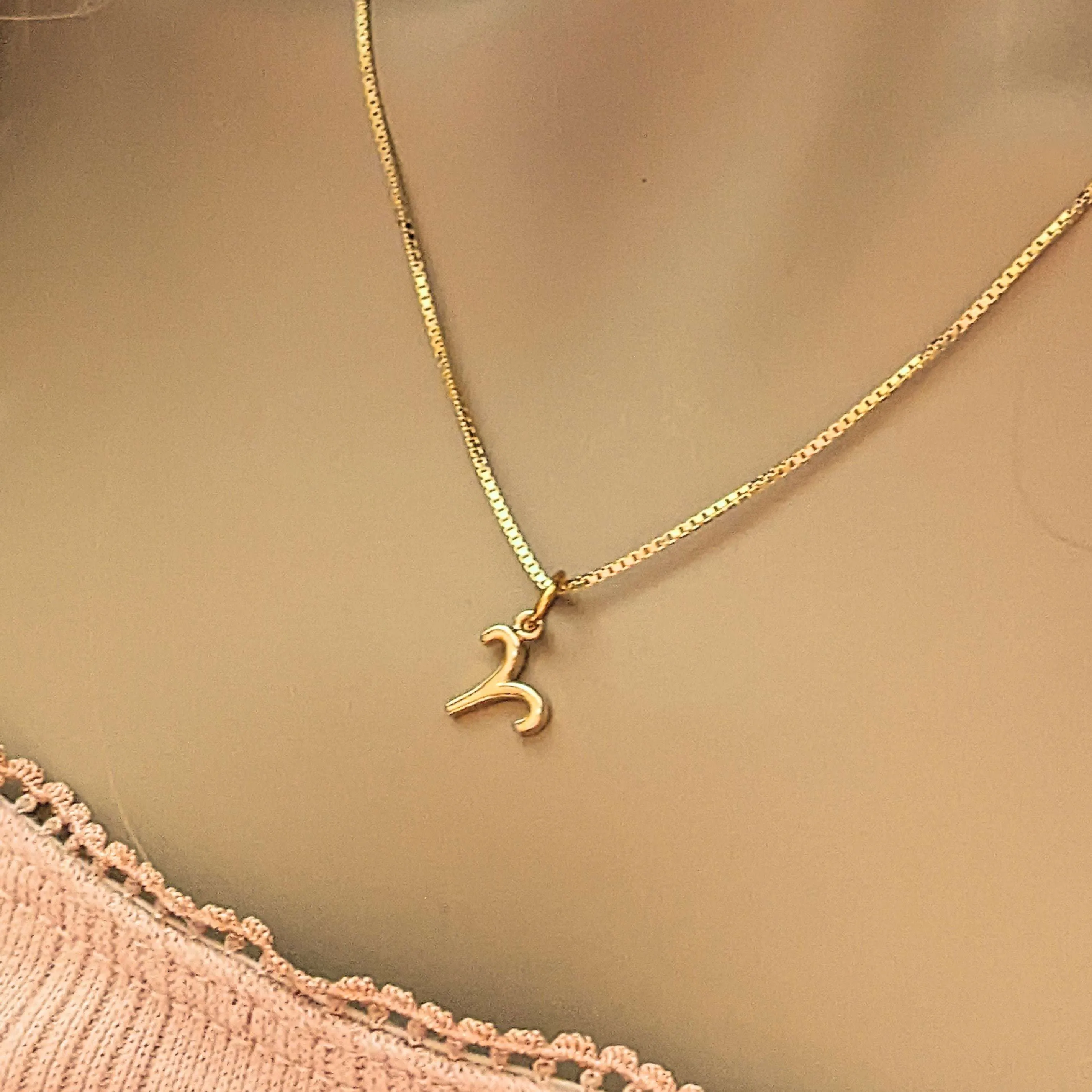 Gold Zodiac Symbol Necklace - 12 - 24 inches