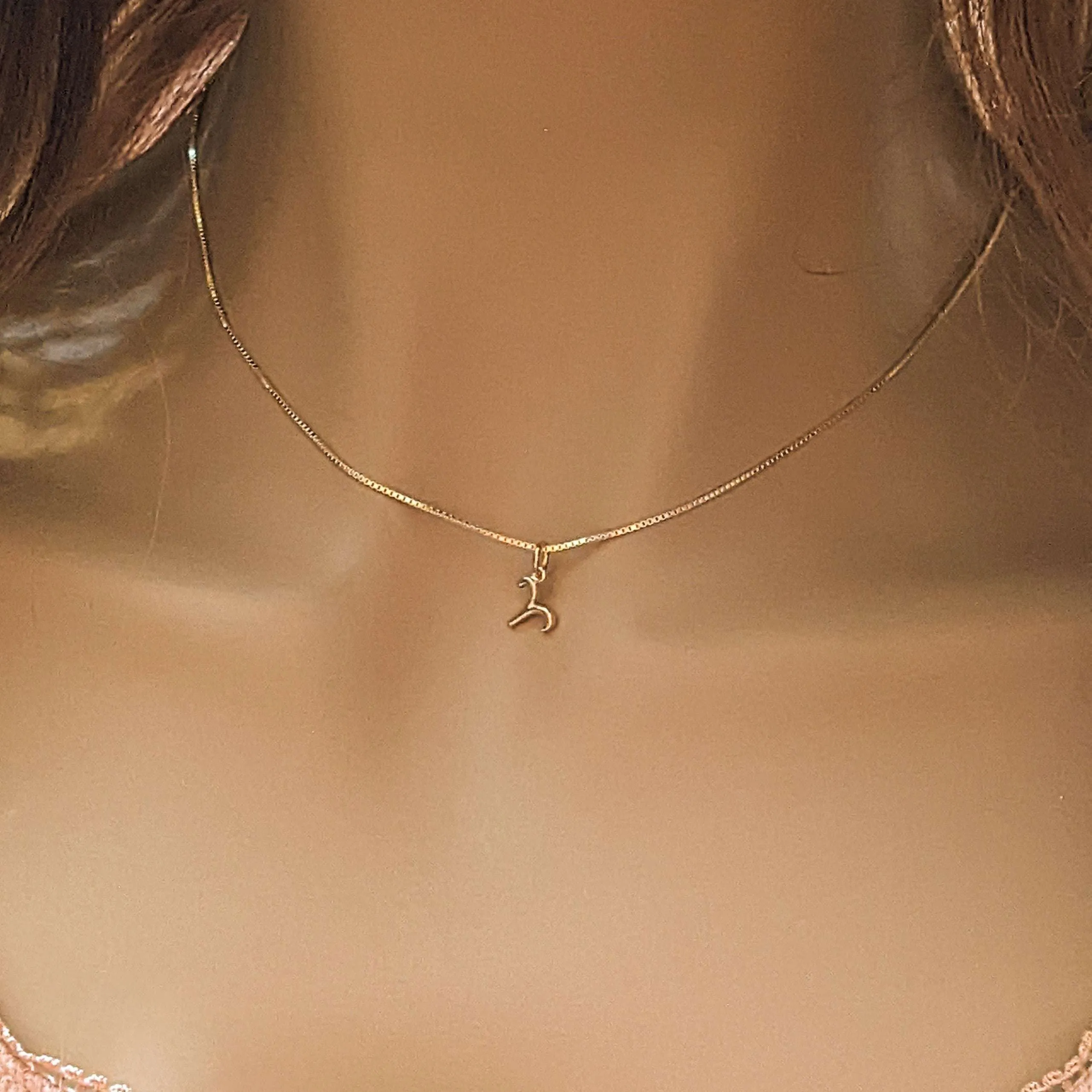 Gold Zodiac Symbol Necklace - 12 - 24 inches
