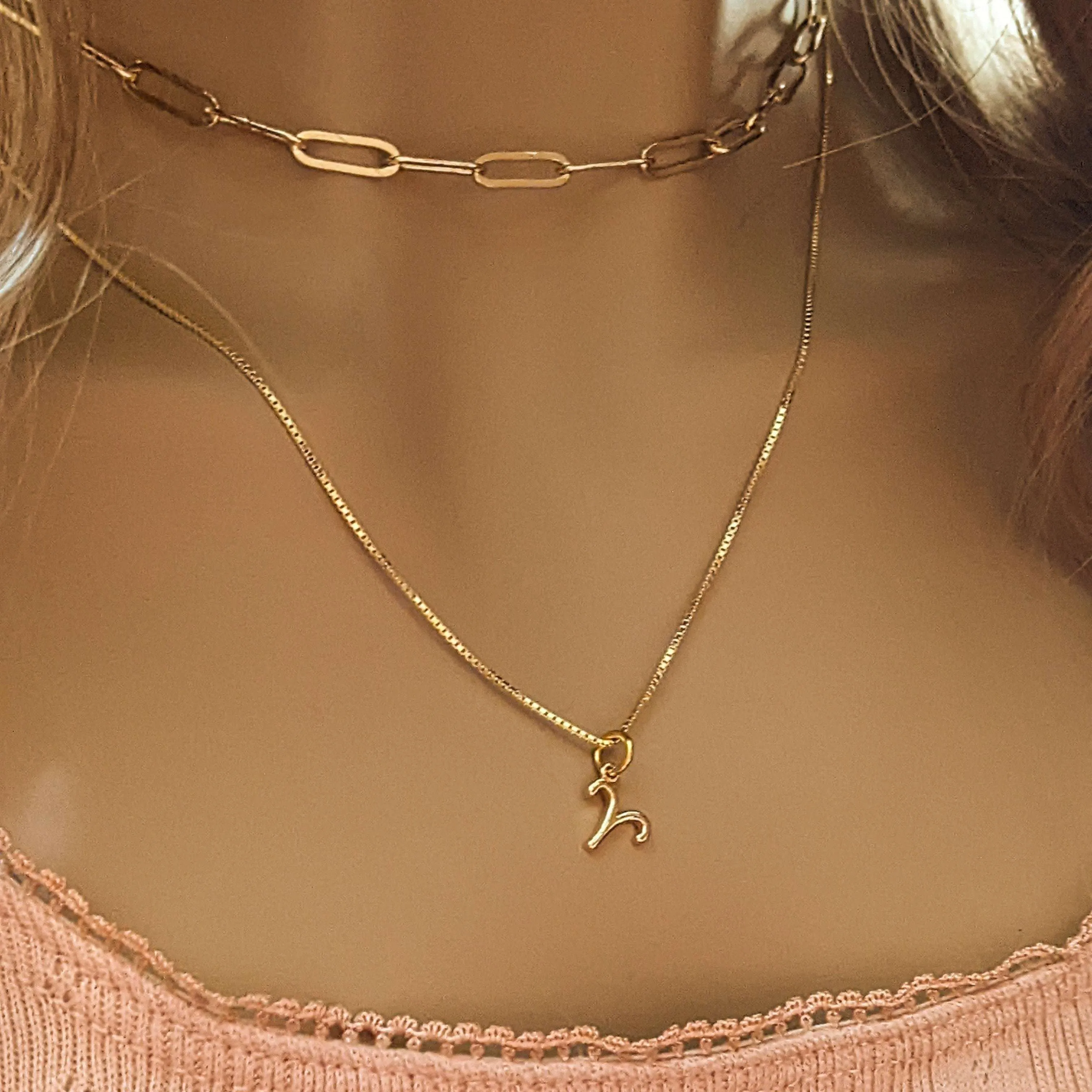 Gold Zodiac Symbol Necklace - 12 - 24 inches