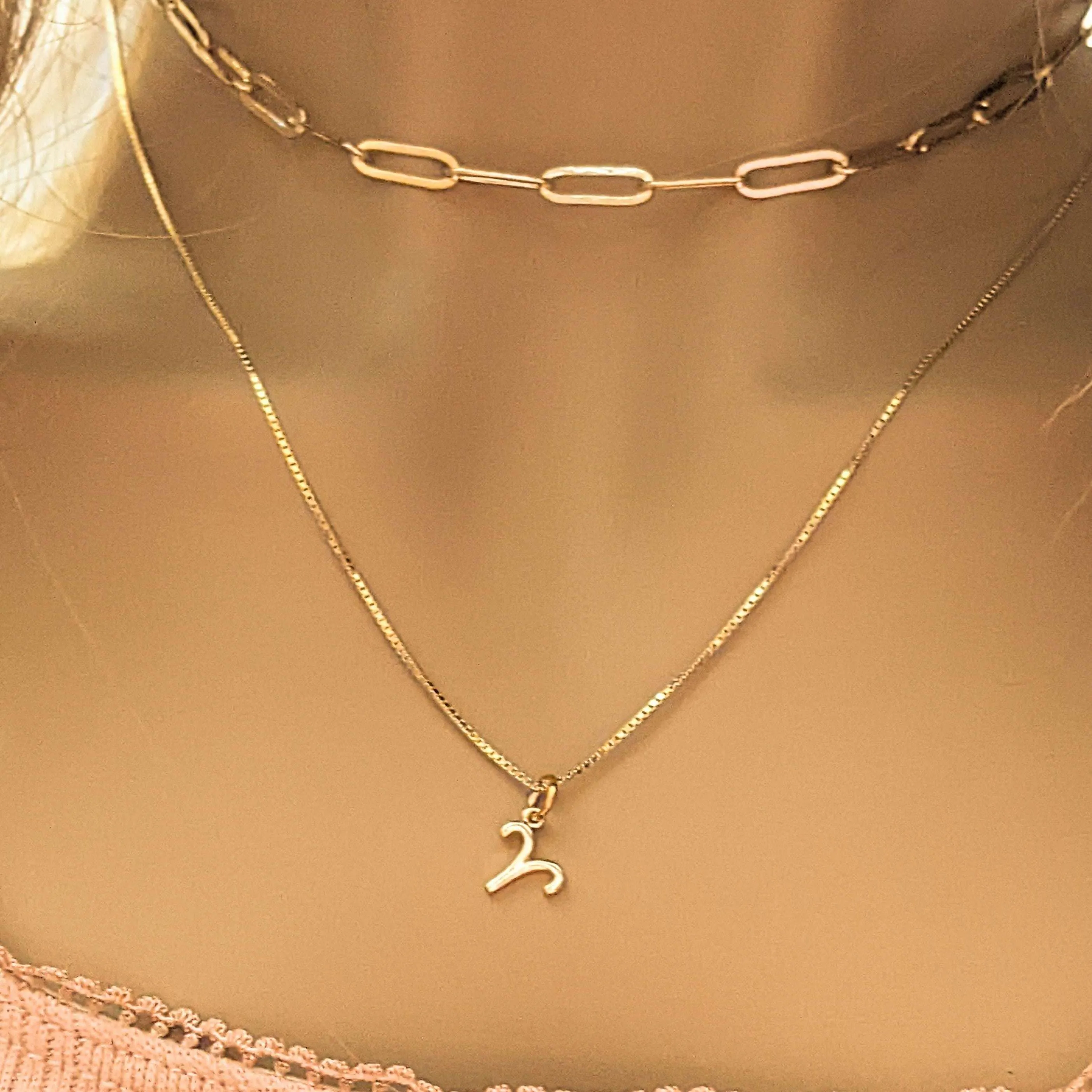 Gold Zodiac Symbol Necklace - 12 - 24 inches