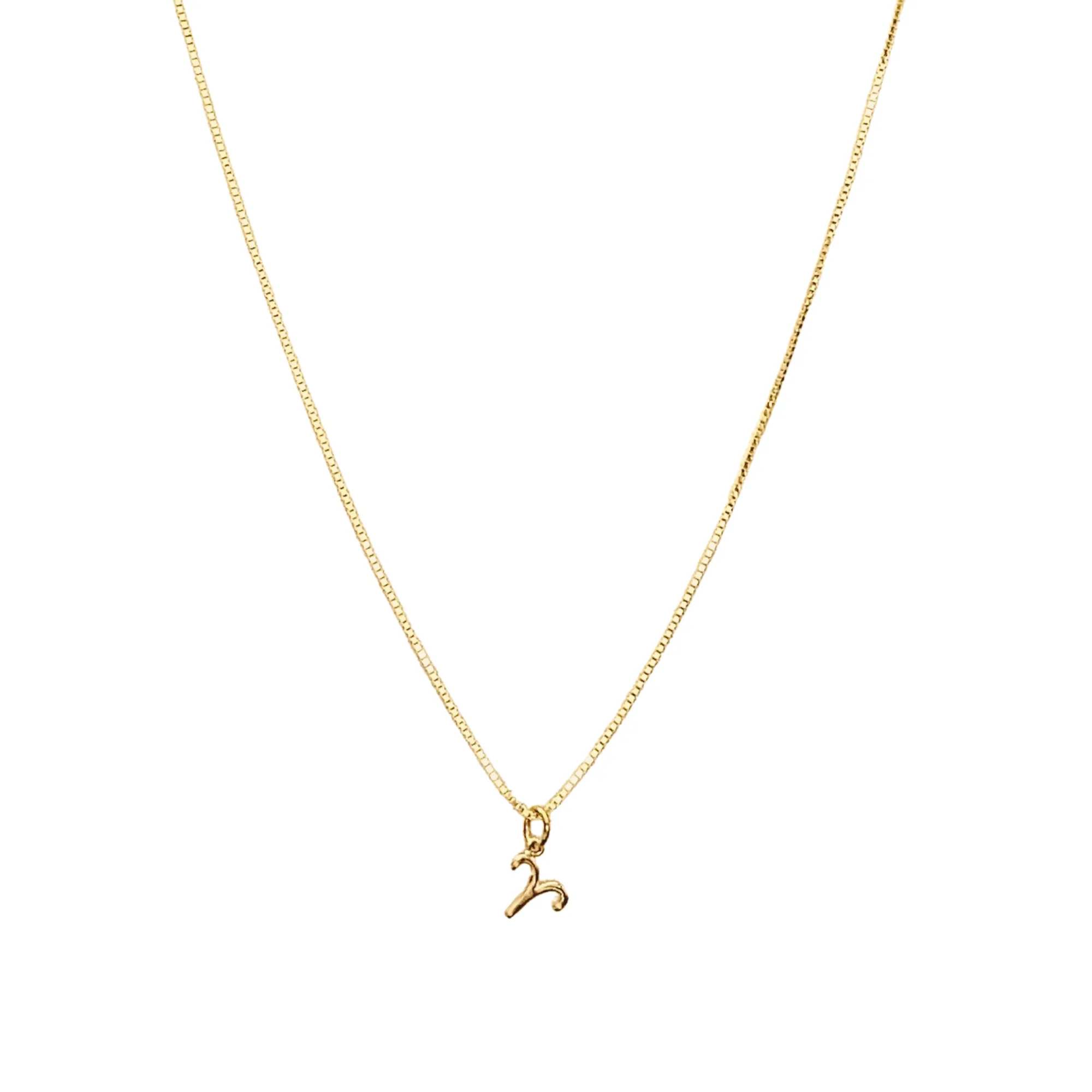 Gold Zodiac Symbol Necklace - 12 - 24 inches