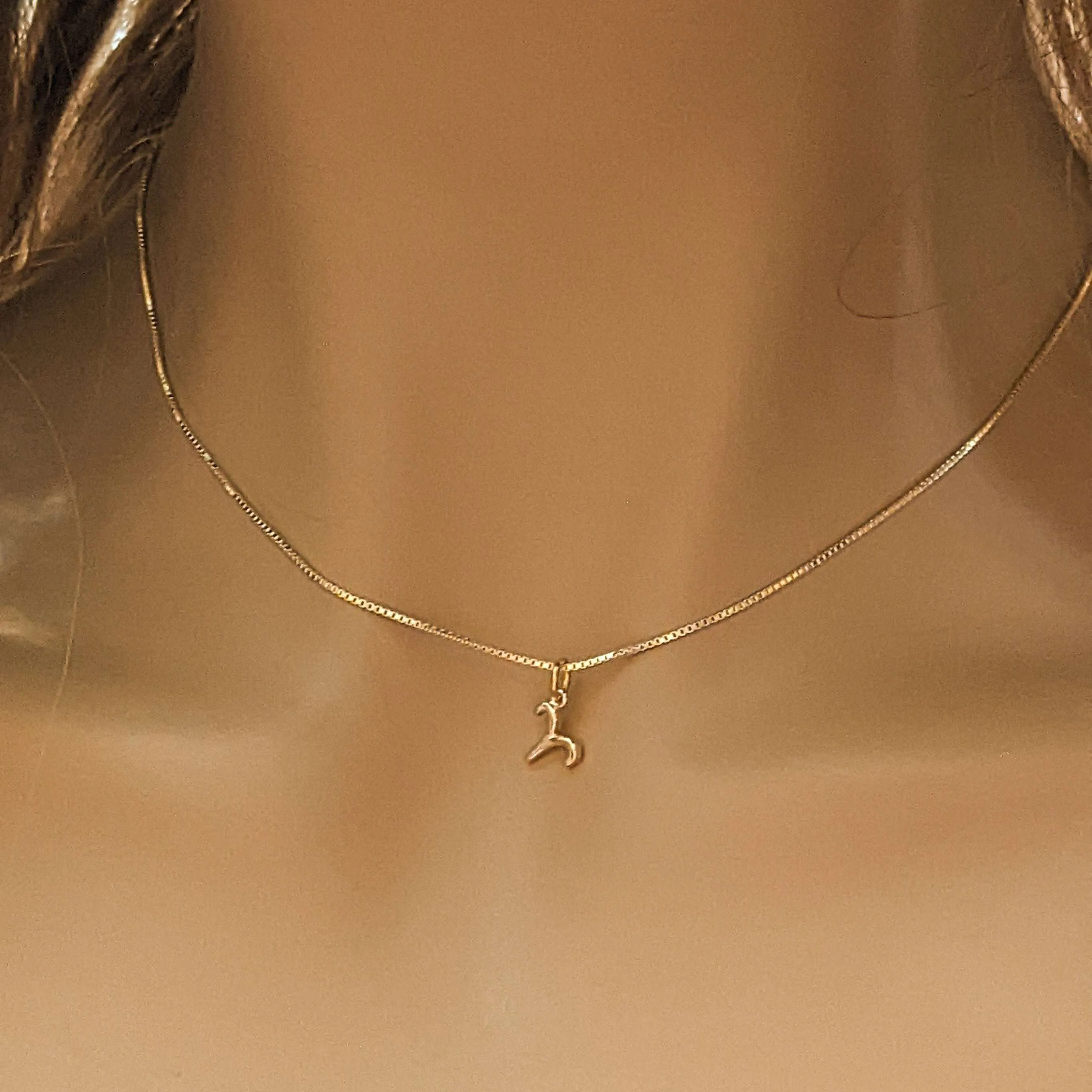 Gold Zodiac Symbol Necklace - 12 - 24 inches