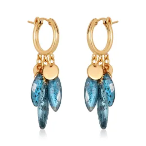 Joelle Kyanite Leaf Earrings