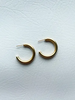 Matte Gold Hoops