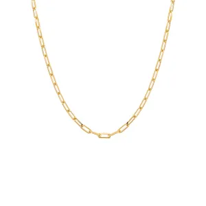 Medium Paperclip Link Necklace