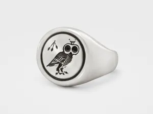 Owl Signet Ring in Sterling Silver