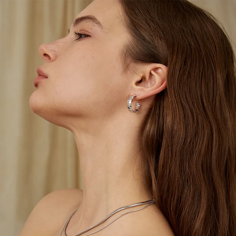 Pavé Snake Chain Wide Pattern Hoop Earrings