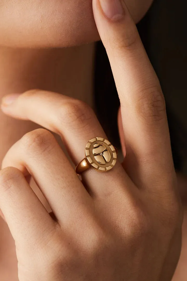 Rebirth & Renewal Signet Ring