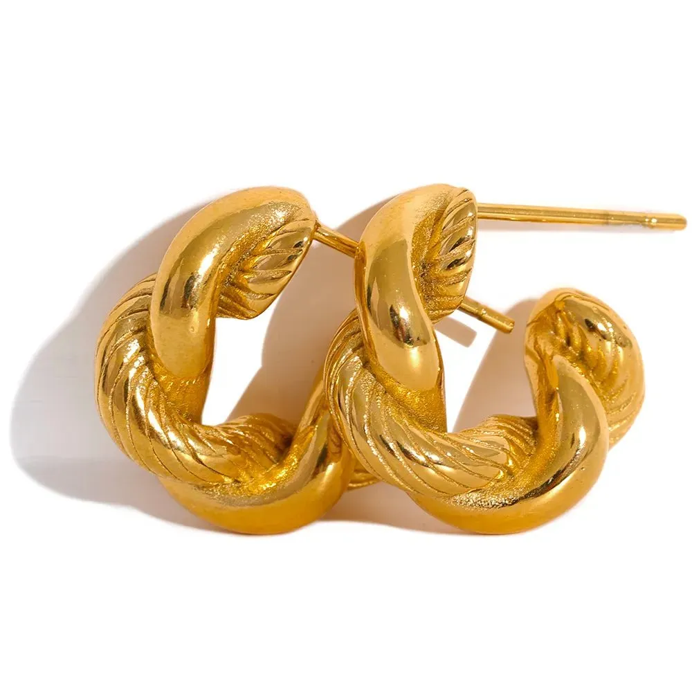 Stylish Twisted Fashion Hoop Earrings For Women