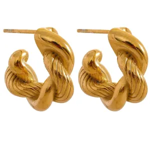 Stylish Twisted Fashion Hoop Earrings For Women