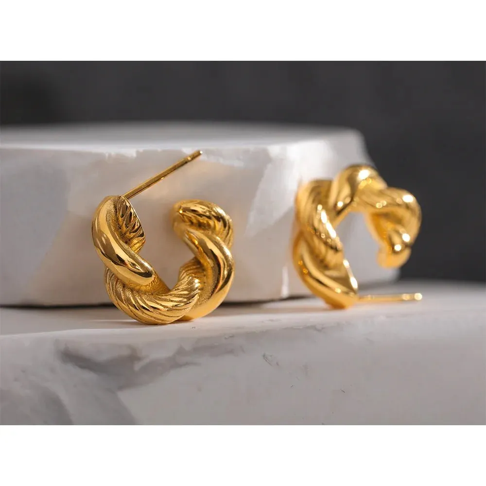Stylish Twisted Fashion Hoop Earrings For Women