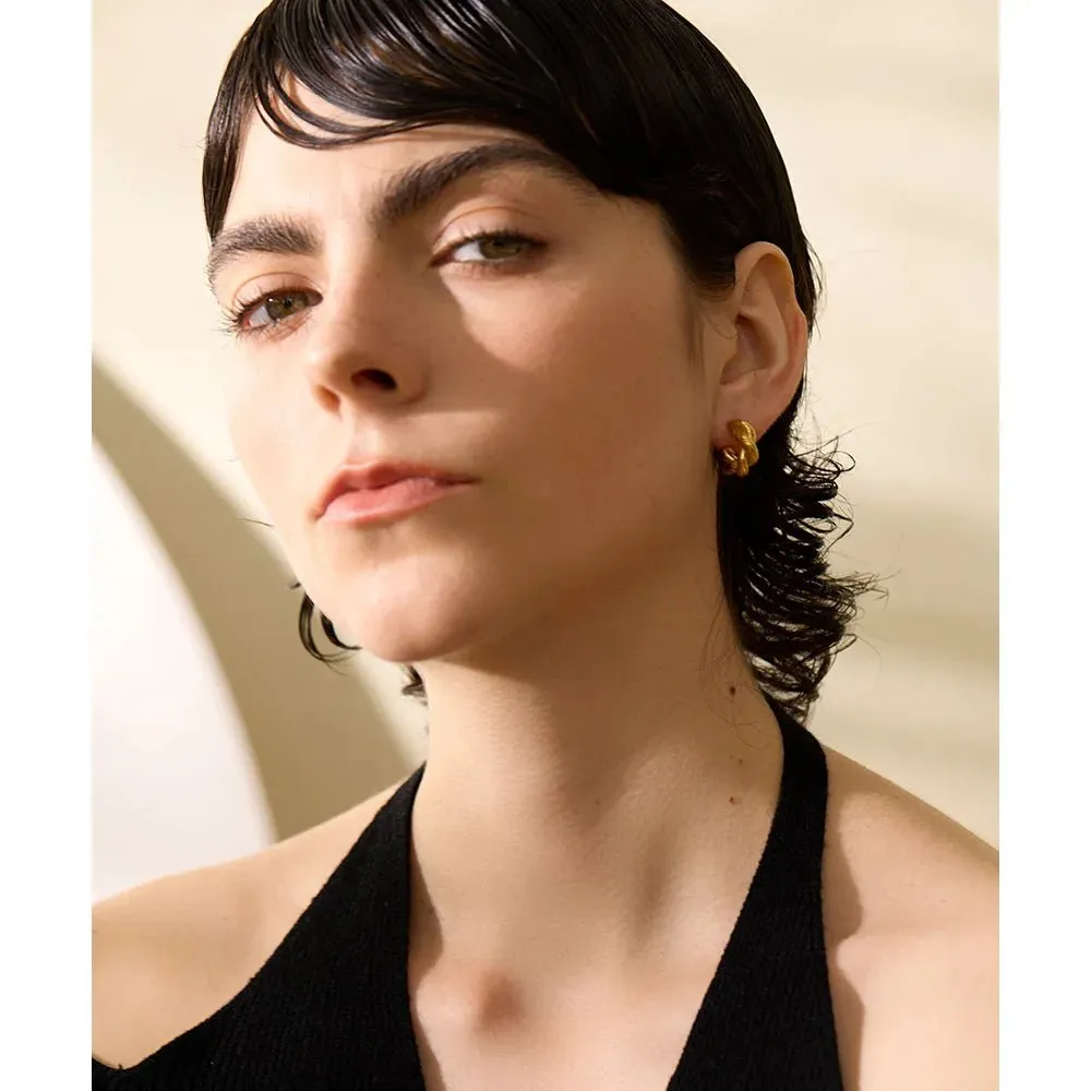 Stylish Twisted Fashion Hoop Earrings For Women