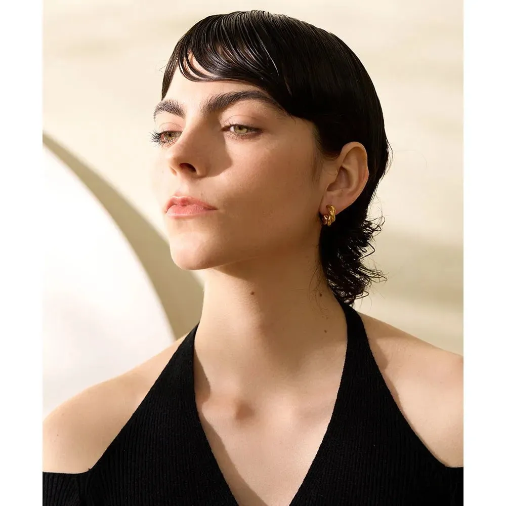 Stylish Twisted Fashion Hoop Earrings For Women