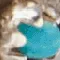 Turquoise Bar Stud Earrings